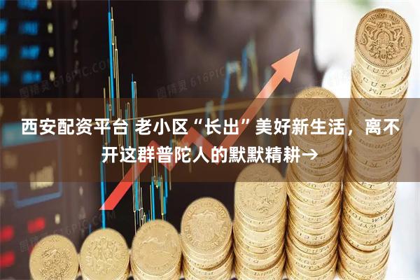 西安配资平台 老小区“长出”美好新生活,离不开这群普陀人的默默精耕→